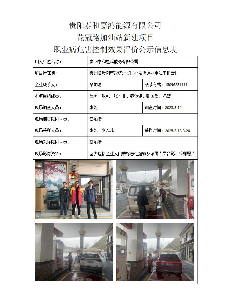 贵阳泰和嘉鸿能源有限公司-项目公示信息表_01.jpg
